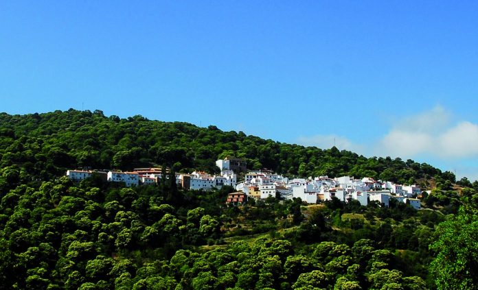 pujerra